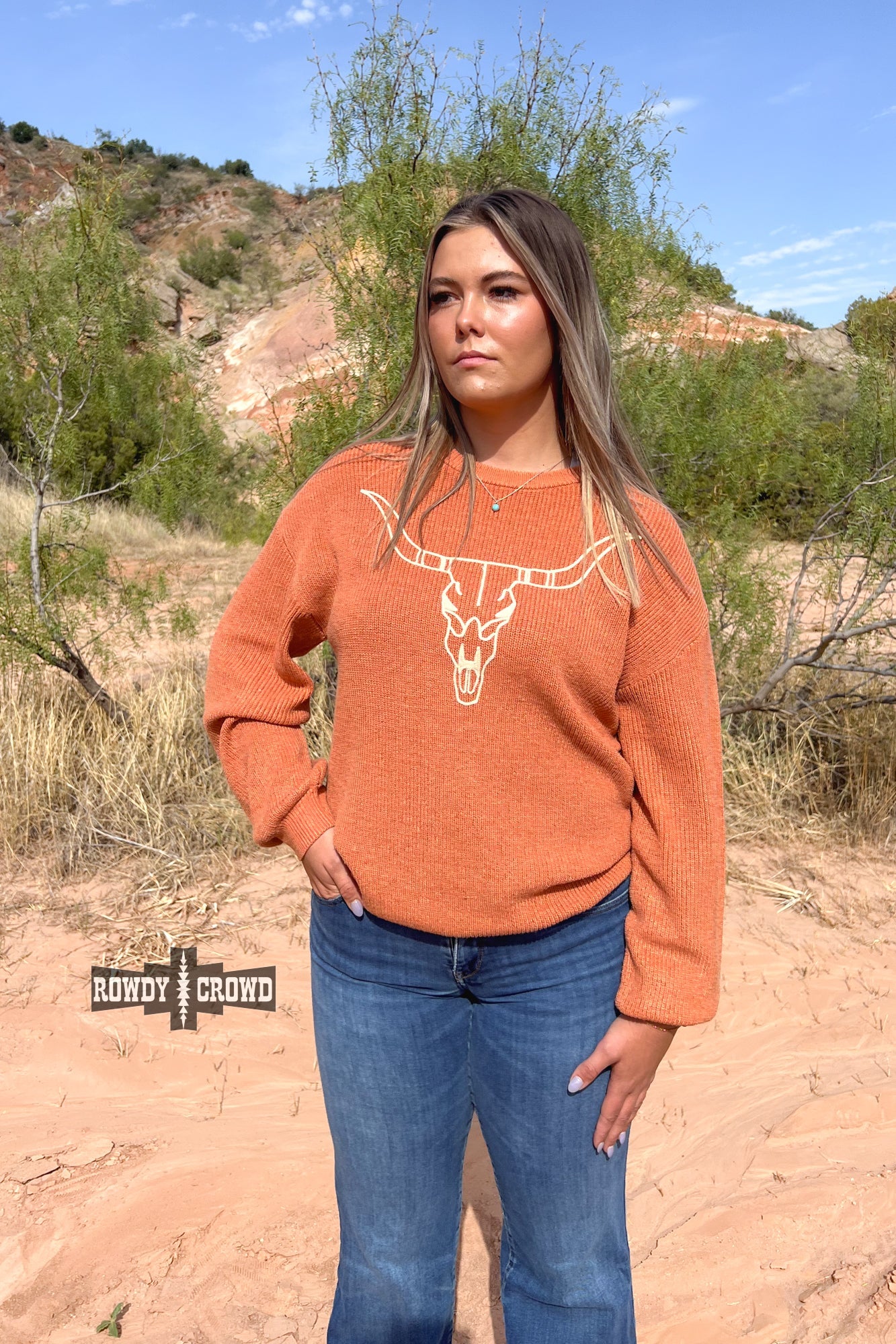 Sundown Bull Skull Western Sweater