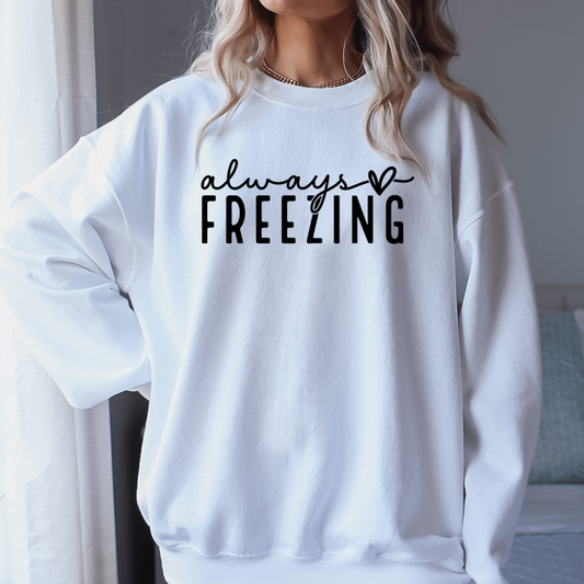 Always Freezing T-Shirt or Sweatshirt